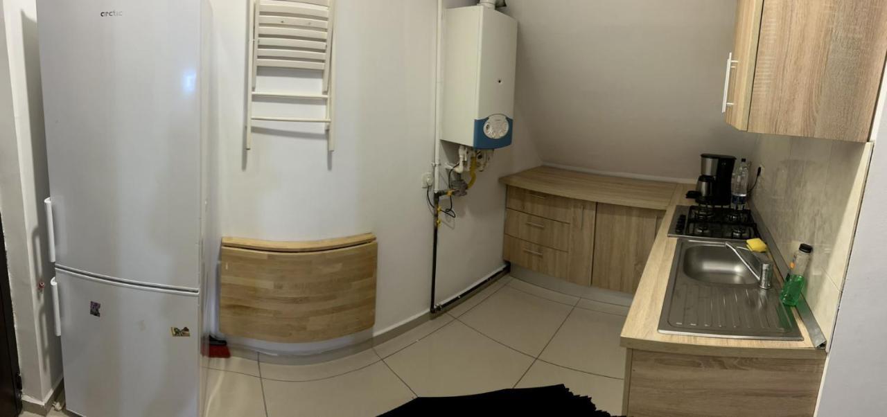 Apartament Chez Ana Otopeni Zewnętrze zdjęcie